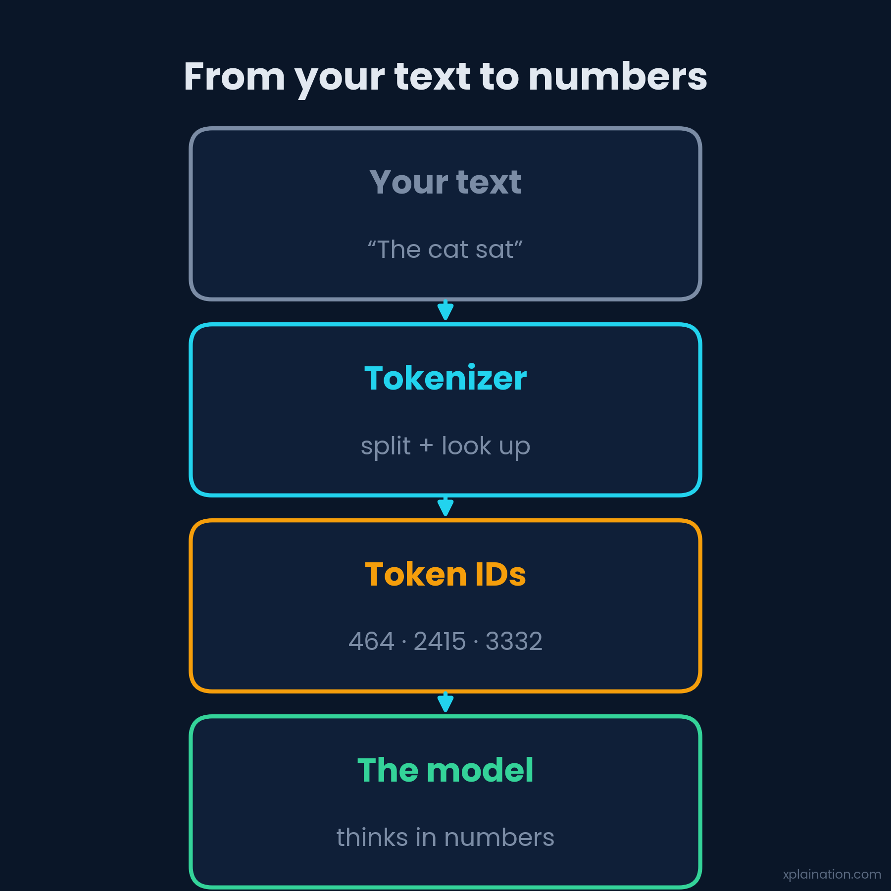 The journey from text to numbers: your text, a tokenizer, token IDs, the model