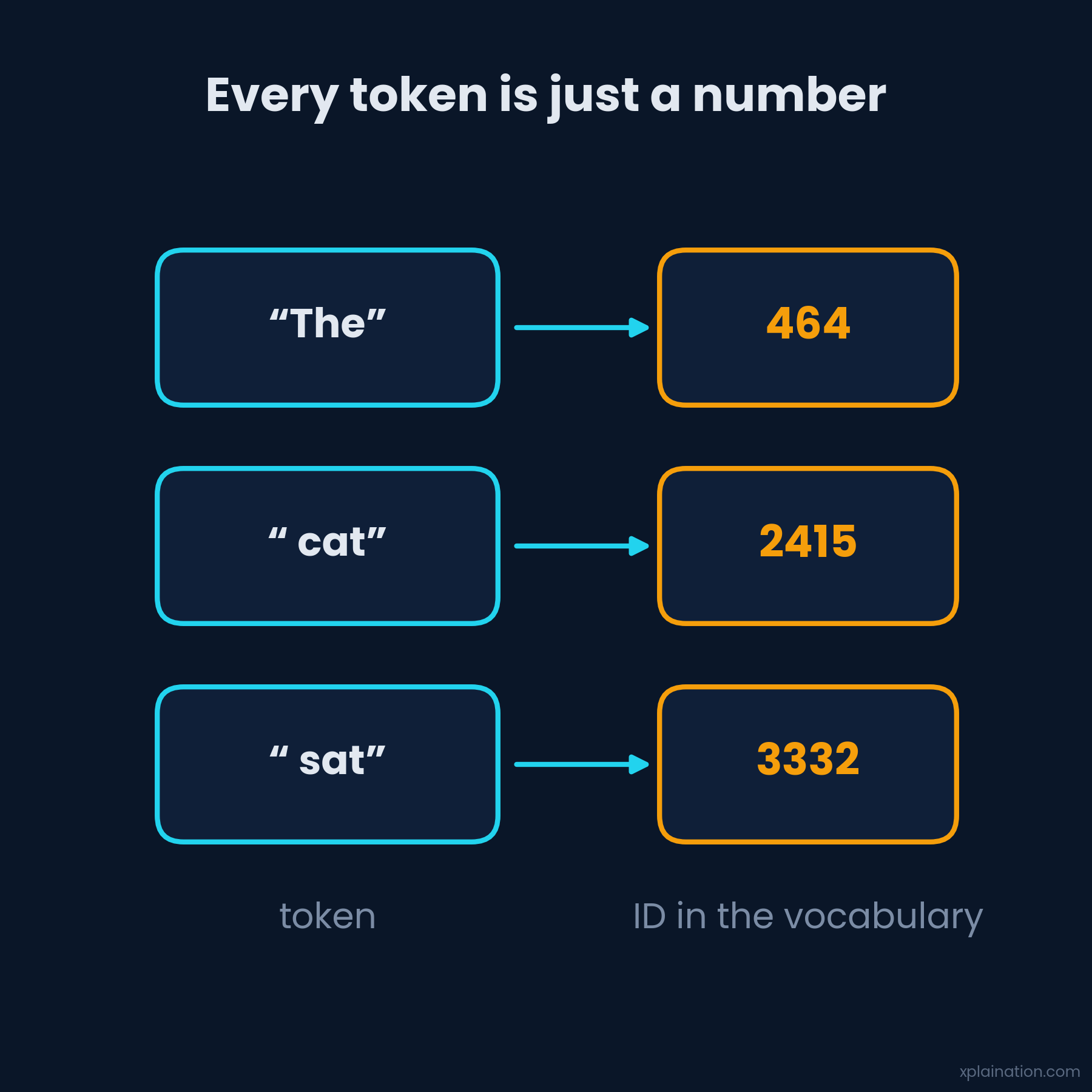 Each token maps to an integer ID in the vocabulary